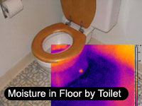 Moisture by Toilet
